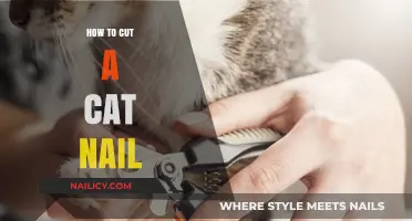 Trimming Cat Nails: A Step-by-Step Guide