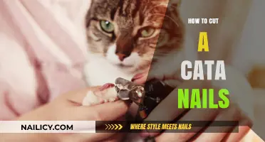 Trimming Cat Claws: A Step-by-Step Guide
