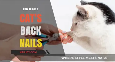 Trimming Your Cat's Back Nails: A Step-by-Step Guide