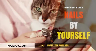 Trimming Your Cat's Nails: A Step-by-Step Guide