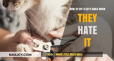 Calmly Trimming Cat Claws: Tips for a Stress-Free Manicure
