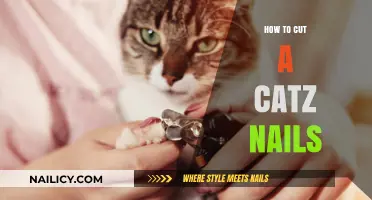 Trimming Your Cat's Nails: A Step-by-Step Guide