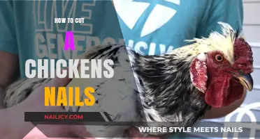 Trimming Chickens' Nails: A Step-by-Step Guide