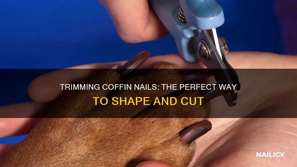 how to cut a coffin nail