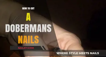 Trimming Doberman Nails: A Step-by-Step Guide