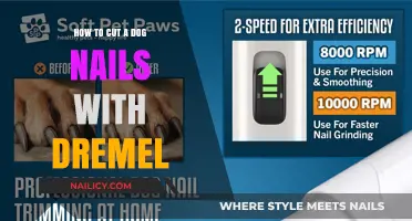Trimming Dog Nails: Dremel Tool for Safe and Easy Trimming