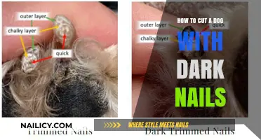 Trimming Dark Nails: A Safe Guide for Dog Owners