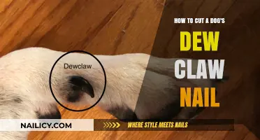 Trimming Your Dog's Dew Claw Nail: A Step-by-Step Guide