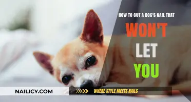 Calmly Trim Your Dog's Nails: A Step-by-Step Guide