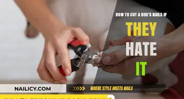 Calmly Trim Your Dog's Nails: Tips and Tricks