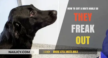Calmly Trimming Your Dog's Nails: A Step-by-Step Guide