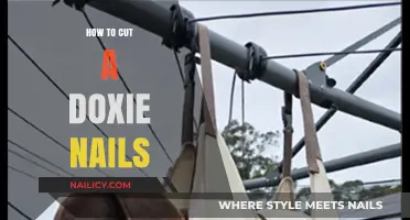 Trimming Your Doxie's Nails: A Step-by-Step Guide