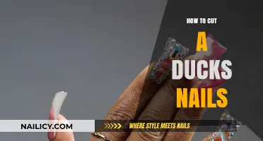 Trimming Duck Nails: A Step-by-Step Guide