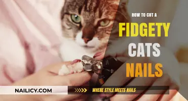 Calmly Trimming Your Cat's Nails: A Step-by-Step Guide