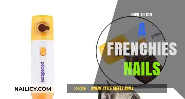 Trimming Your Frenchie's Nails: A Step-by-Step Guide