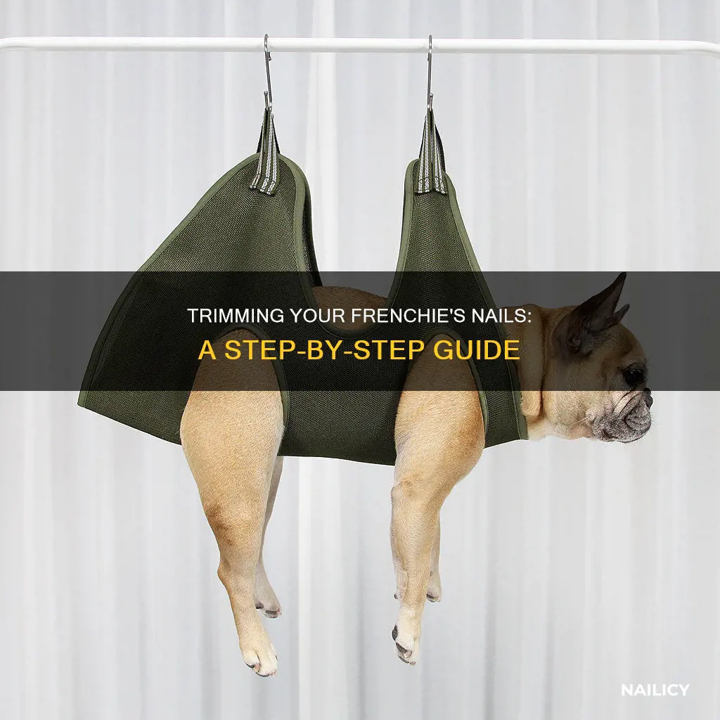 how to cut a frenchies nails
