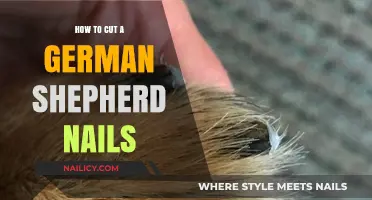Trimming Your German Shepherd's Nails: A Step-by-Step Guide
