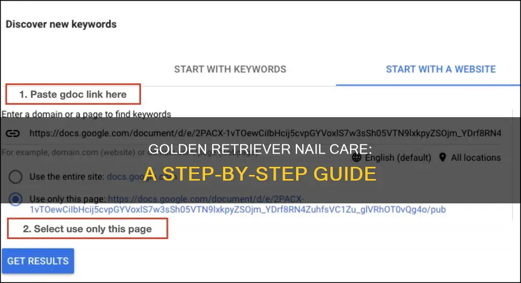 how to cut a golden retriever