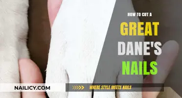 Trimming Your Great Dane's Nails: A Step-by-Step Guide