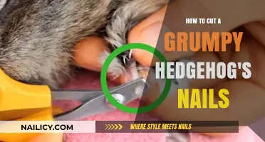 Trimming a Grumpy Hedgehog's Nails: A Step-by-Step Guide