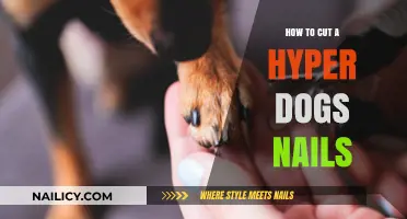 Trimming a Hyper Dog's Nails: A Step-by-Step Guide