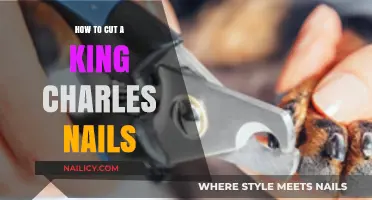 Trimming Your King Charles' Nails: A Step-by-Step Guide