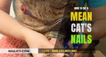 Mastering the Art of Trimming a Cat's Claws: Tips for Success