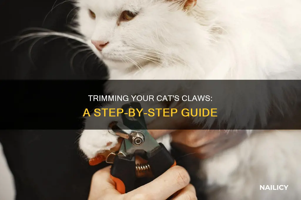 how to cut a mean cat