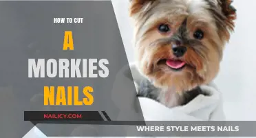 Trimming Your Morkie's Nails: A Step-by-Step Guide