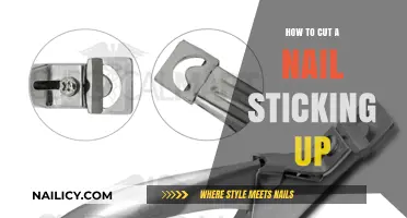 Quickly Fix a Nail That's Sticking Up
