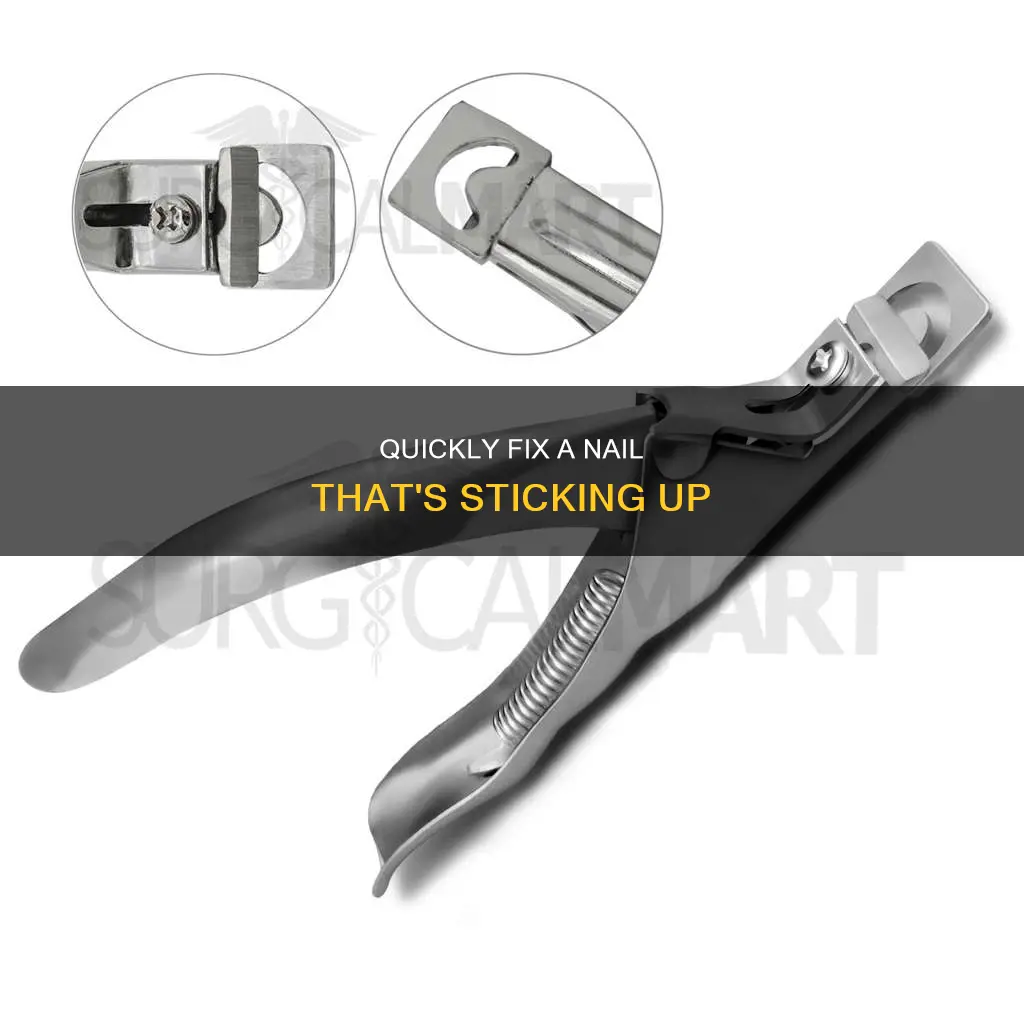 how to cut a nail sticking up