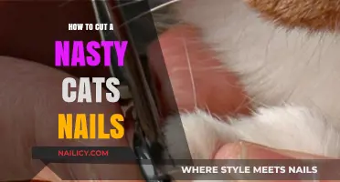 Trimming Your Cat's Nails: A Step-by-Step Guide