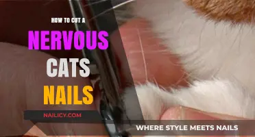 Calmly Trim Your Cat's Nails: A Step-by-Step Guide