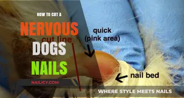 Calmly Trimming Your Dog's Nails: A Step-by-Step Guide