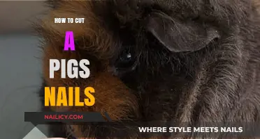 Trimming Your Pig's Nails: A Step-by-Step Guide