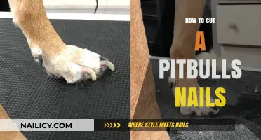 Trimming a Pitbull's Nails: A Step-by-Step Guide