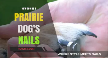 Prairie Dog Nail Trimming: A Step-by-Step Guide