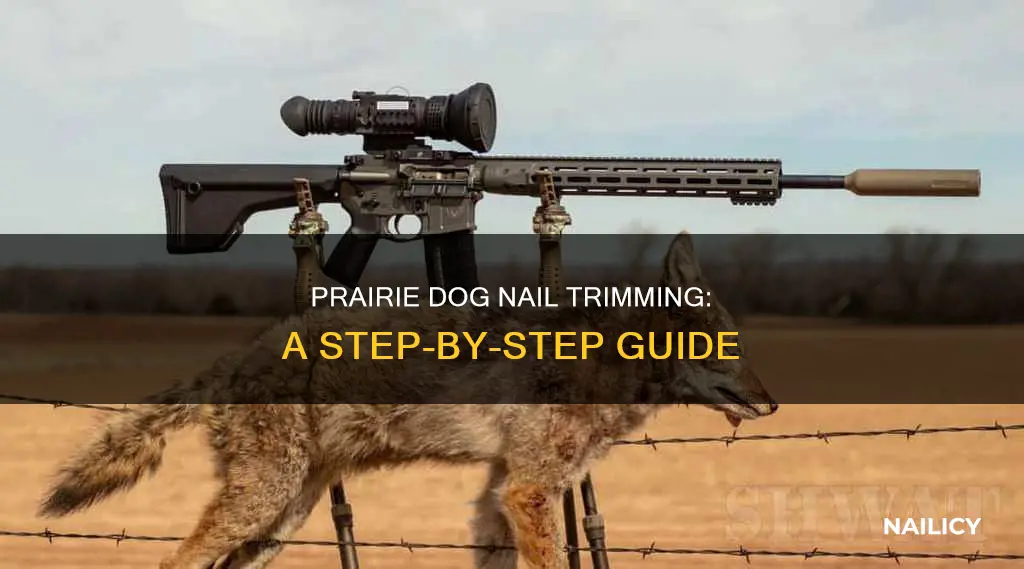 how to cut a prairie dog