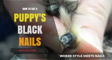 Trimming Black Nails: A Guide for Puppies
