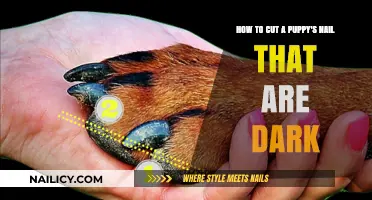 Trimming Dark Nails: A Safe Guide for Puppies