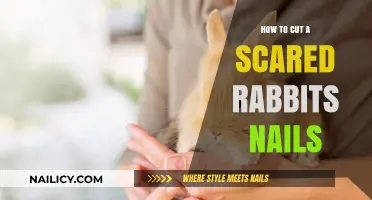 Calmly Trimming Your Rabbit's Nails: A Step-by-Step Guide