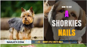 Trimming a Shorkie's Nails: A Step-by-Step Guide