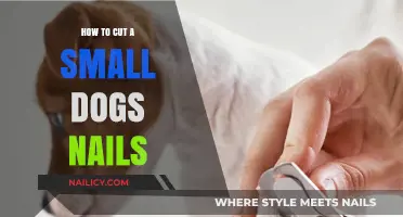 Trimming Your Pup's Nails: A Step-by-Step Guide