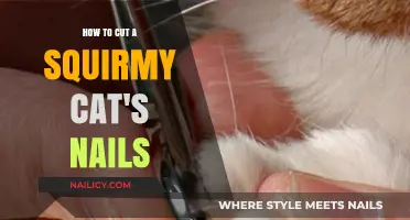 Calmly Trim Your Cat's Nails: A Step-by-Step Guide