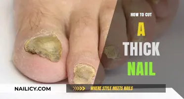 Trimming Thick Nails: The Safe and Easy Way