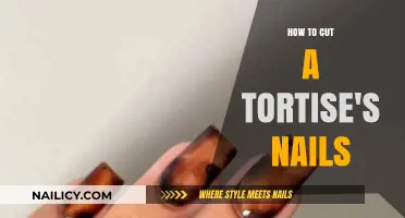 Trimming Your Tortoise's Nails: A Quick Guide