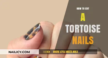 Trimming Tortoise Nails: A Step-by-Step Guide