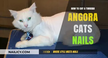 Trimming Turkish Angora Nails: A Step-by-Step Guide