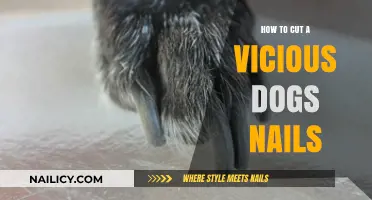 Trimming Vicious Dog's Nails: A Step-by-Step Guide