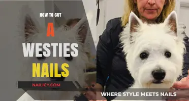Trimming Your Westie's Nails: A Step-by-Step Guide